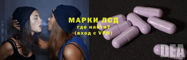 мяу мяу мука Елизово