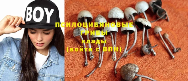 мет Михайловск