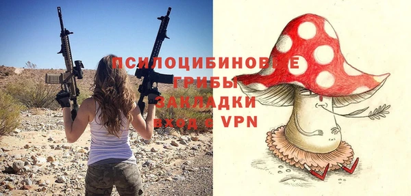 мяу мяу мука Елизово