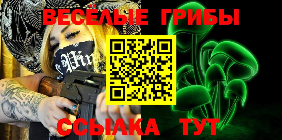 Псилоцибиновые грибы Psilocybine cubensis Сланцы