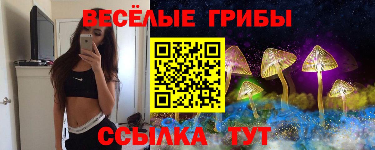 Сланцы  Псилоцибиновые грибы прущие грибы  Псилоцибиновые грибы GOLDEN TEACHER  Вход с VPN 